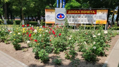 Благоустройство предприятия