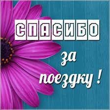 Благодарность за добросовестный труд
